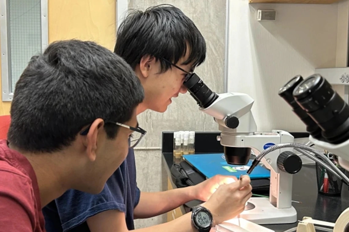 Student looking through microscope